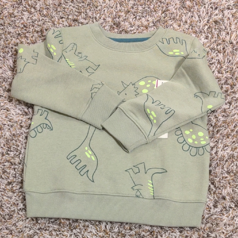 Kids Dinosaur Print Sweatshirt - Green